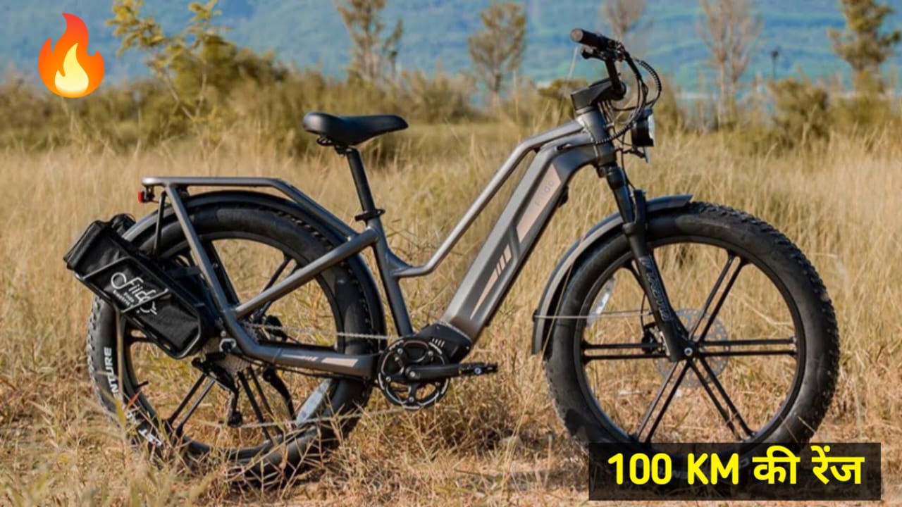 Fiido Titan Robust Cargo Electric Bike