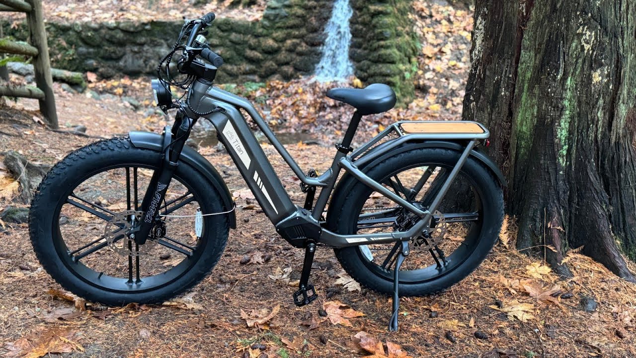 Fiido Titan Robust Cargo Electric Bike